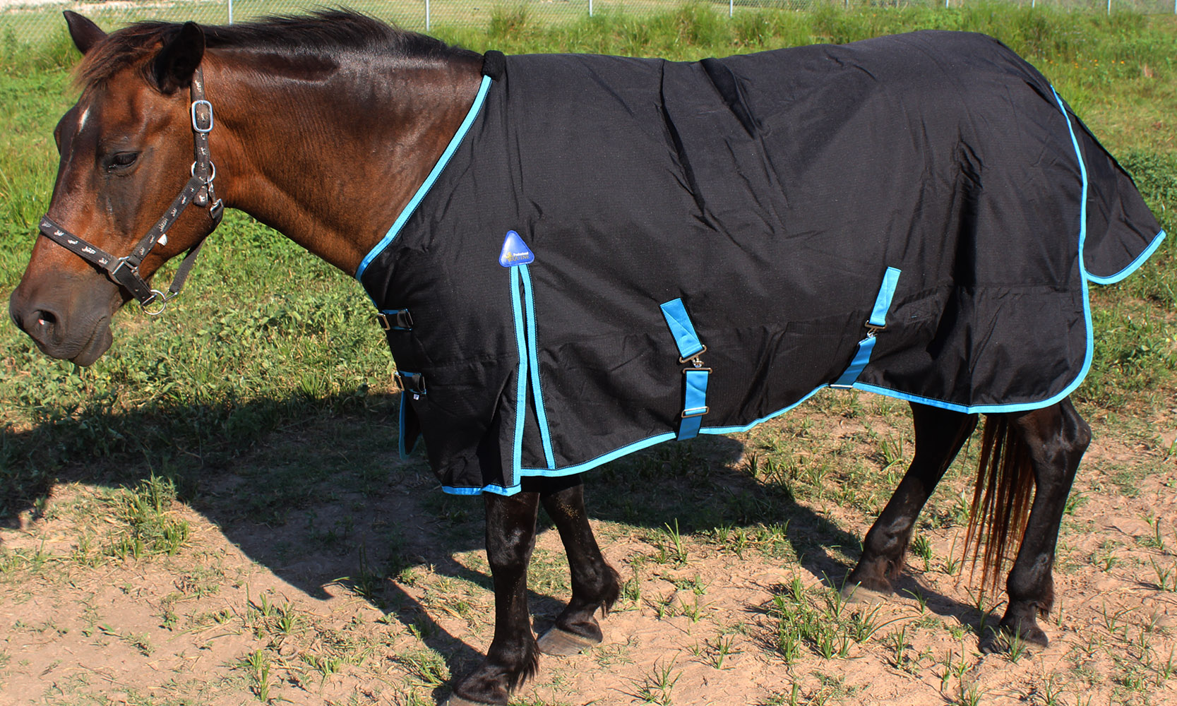 80" 1000D Turnout Horse Heavy Winter Waterproof BLANKET 6142 eBay
