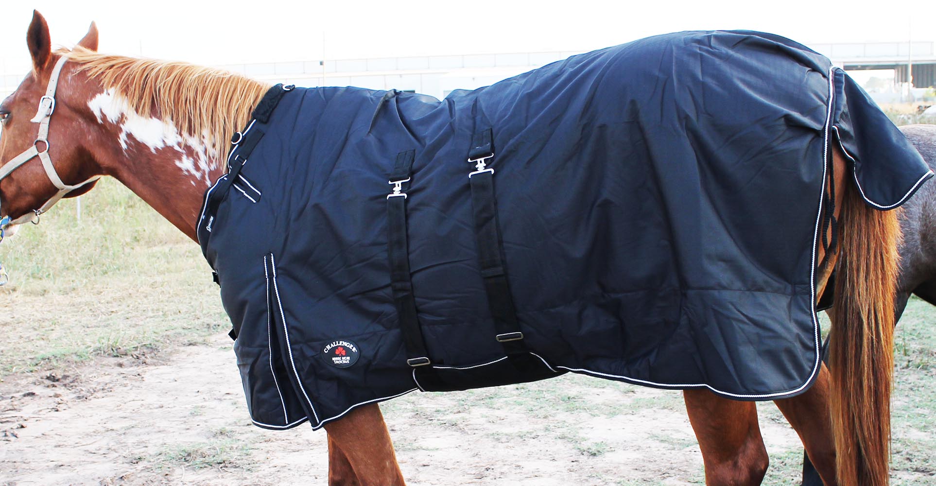 1200D Turnout Waterproof Horse WINTER BLANKET HEAVY Bellyband 564B eBay