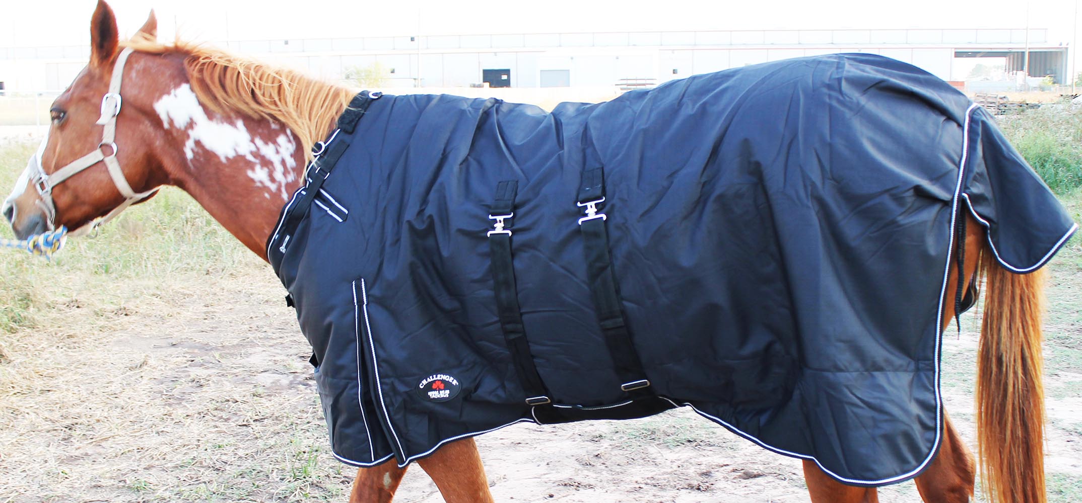 1200D Turnout Waterproof Horse WINTER BLANKET HEAVY Bellyband 564B eBay