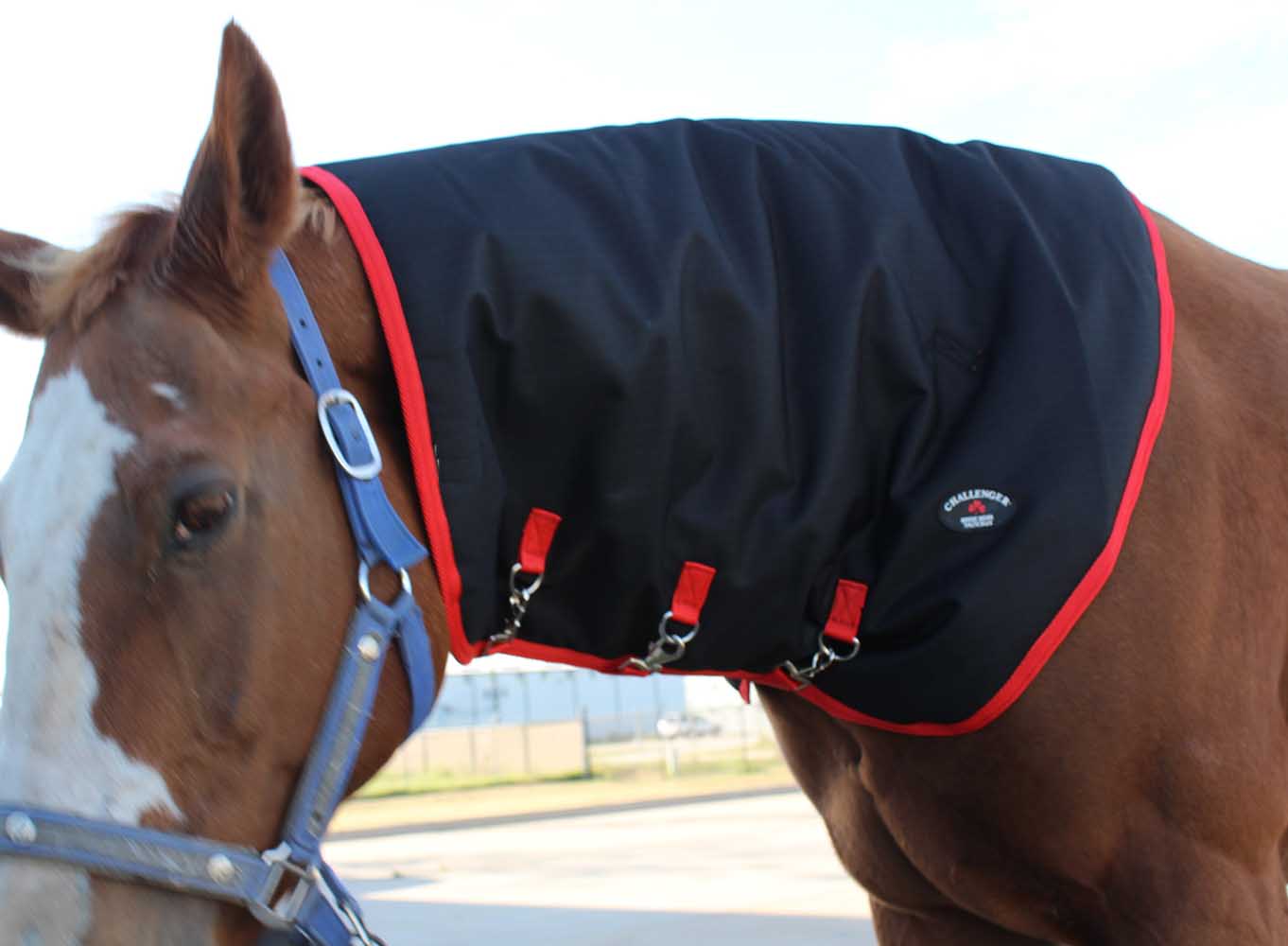 Large Horse 1200D Waterproof Winter Mane Neck Cover Challeng
