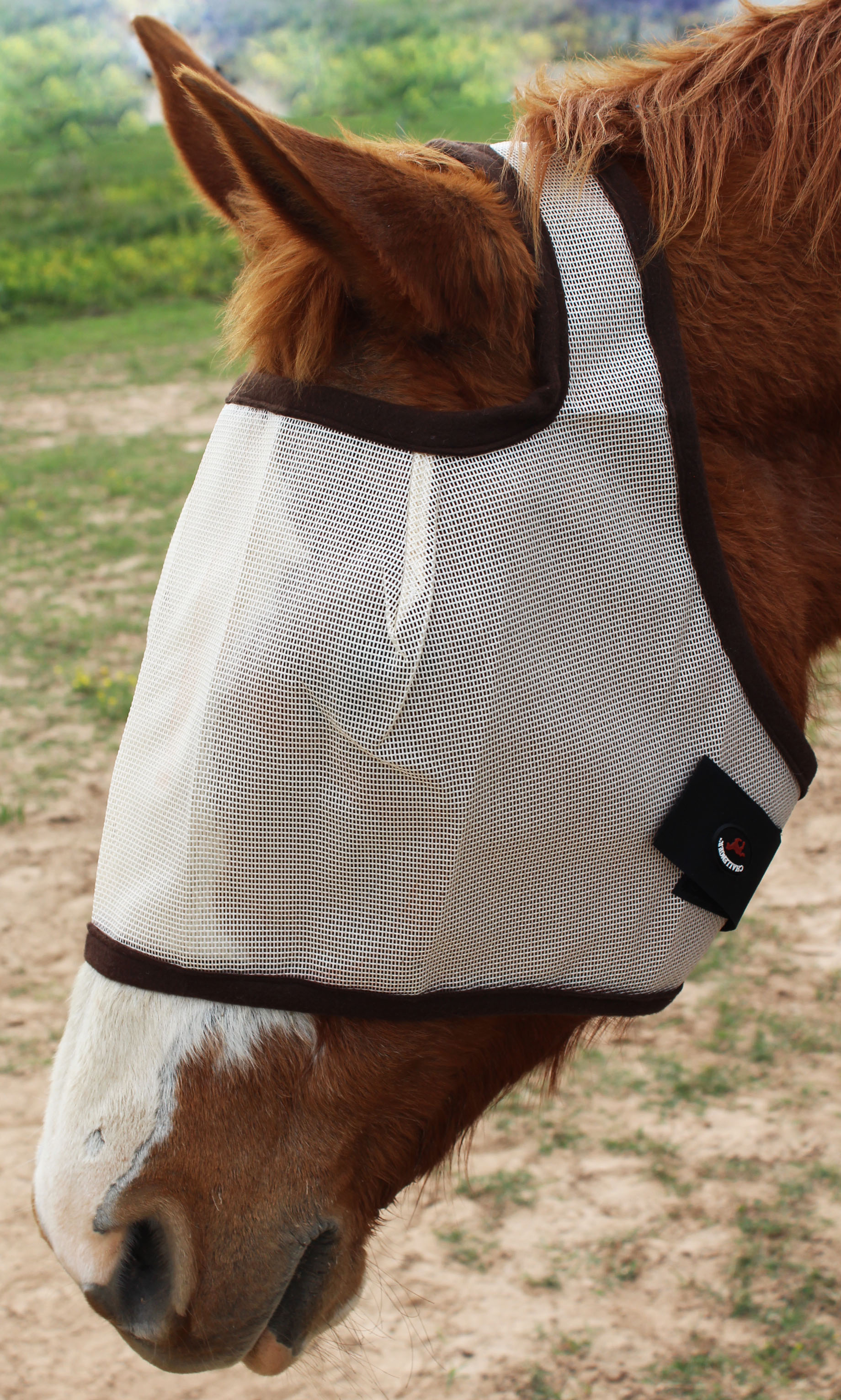 CHALLENGER Equine Horse Fly Mask Summer Spring Airflow Mesh UV Mosquitoes 73228PR 
