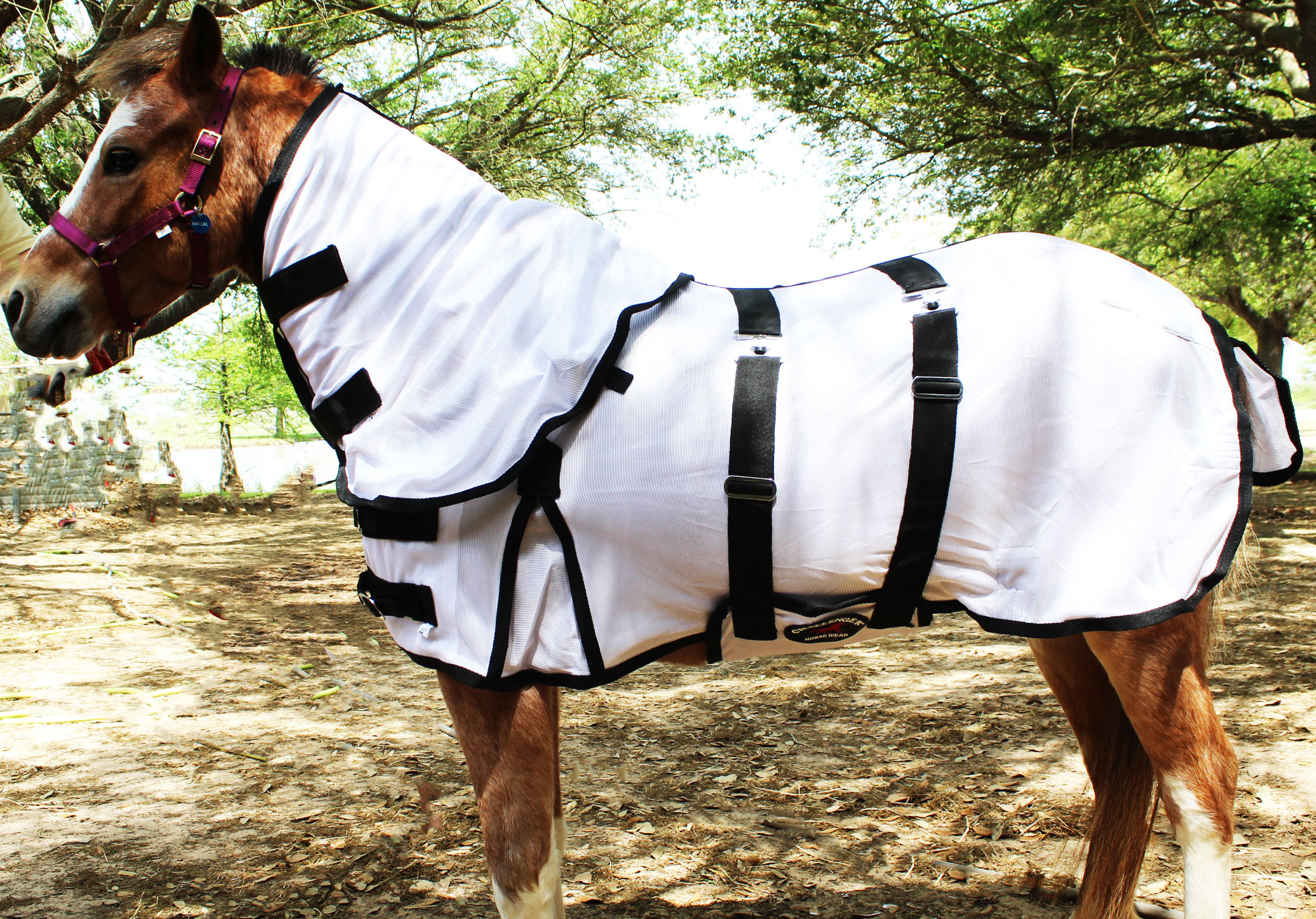 Miniature Weanling Donkey Pony Horse Foal Summer Sheet Blanket 51813